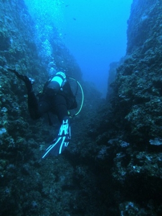  Buceo en el mar Mediterráneo 